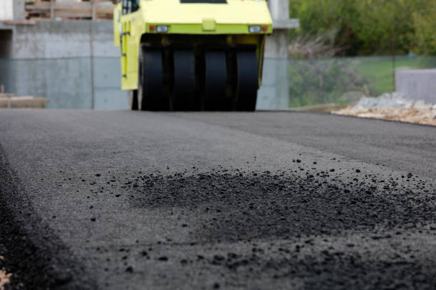 Best Custom Driveway Pavers  in New Rockford, ND